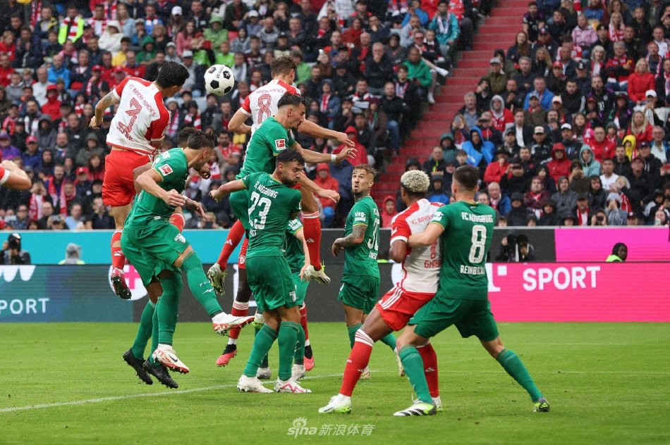 他们在离开 他们在离开