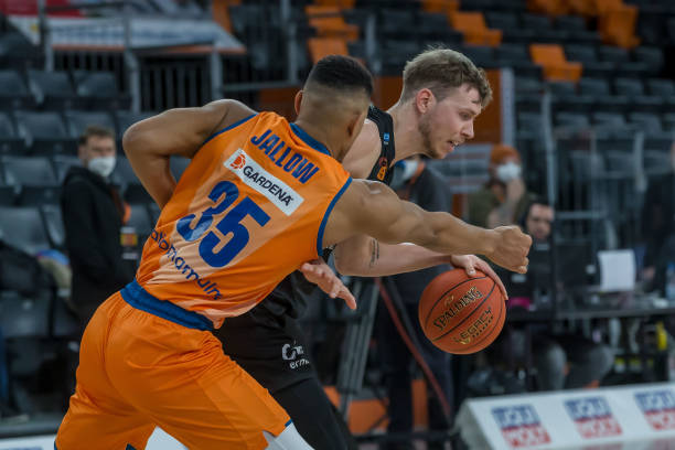 多样性的意 多样性的意