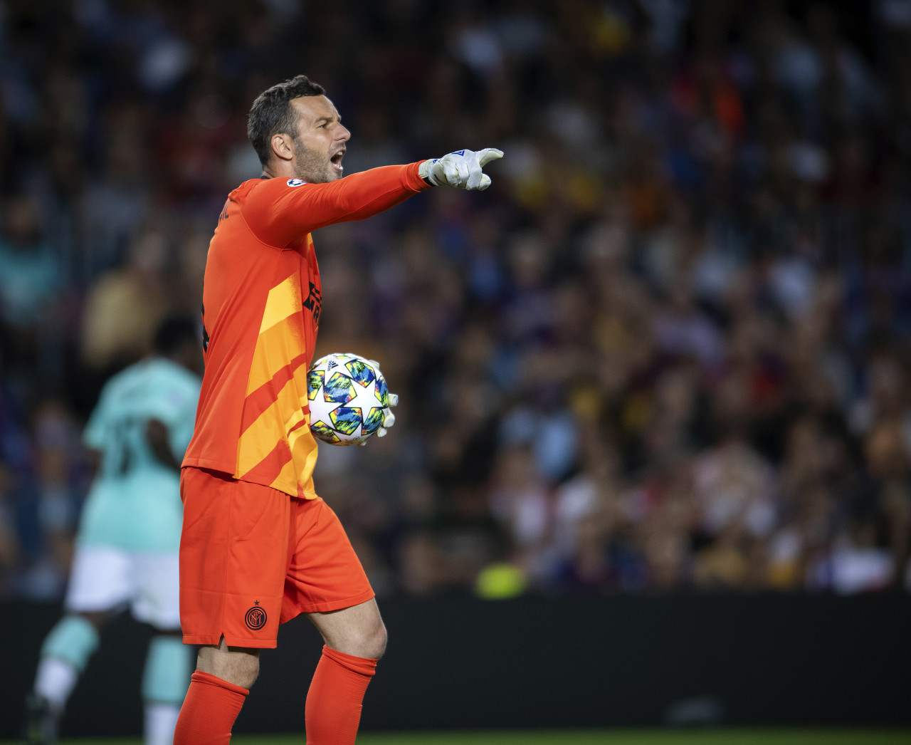 与教练的战 与教练的战